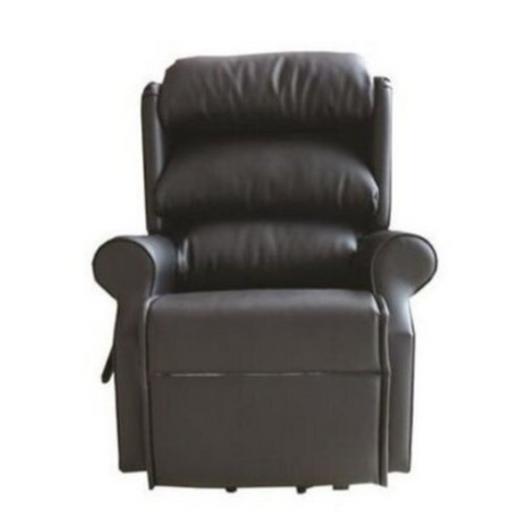 Eton Riser Recliner Dual Motor